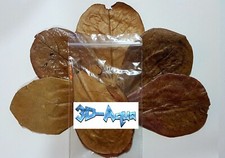 Premium Mixed Sundried Indian