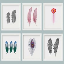 Bird Feathers Oil Paint Print
