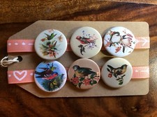 Vintage Birds, Songbirds -