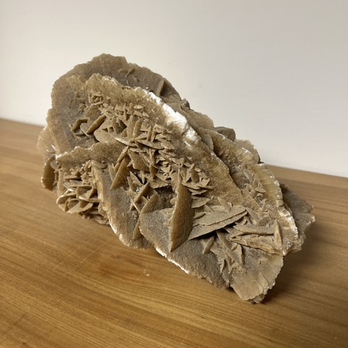 Natural desert rose selenite - rose,
