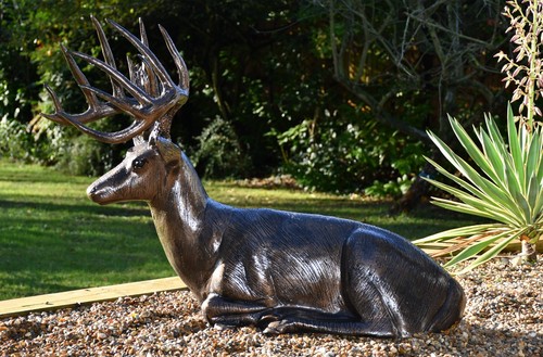 New laying stag - laying, deer