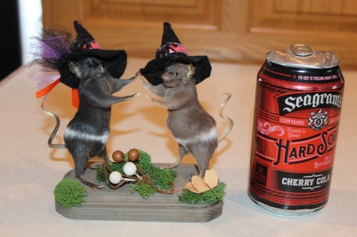 Taxidermy witch real mice - witch,