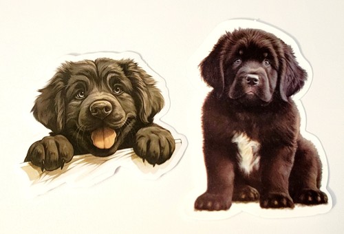 Newfoundland puppy dog sticker - puppy,