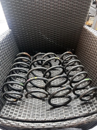 Ford fiesta suspension coil - st,