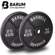 20KG X 2 Cast Iron Weight