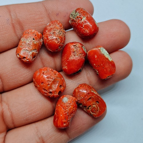 Old red coral - coral, loose