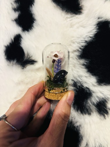 Burying beetle insect - burying,