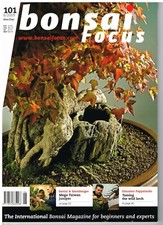 Bonsai Focus No.101 Nov Dec
