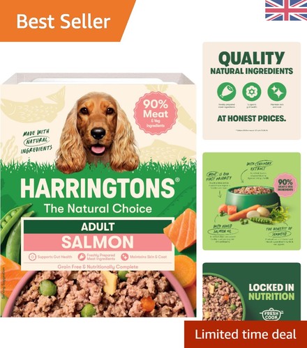 Grain free salmon - grain-free, wet