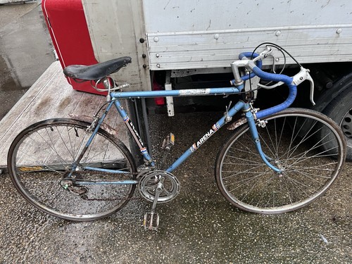 Vintage raleigh arena bike - raleigh,