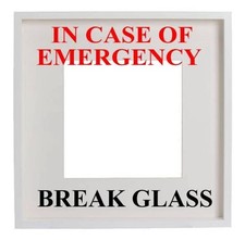 Emergency Break Glass Vinyl
