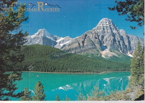 Waterfowl lake the - waterfowl,