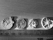 Nice lot lead tokens - nice,