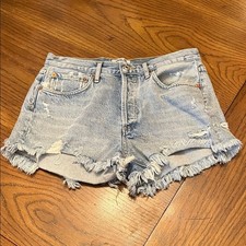 Agolde Parker Vintage Cut Off