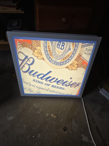 Budweiser advertising lightbox - budweiser,