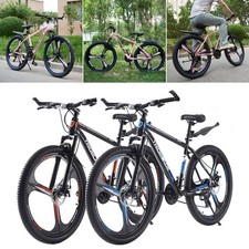 24 Inch Adult Mountain Bike 21