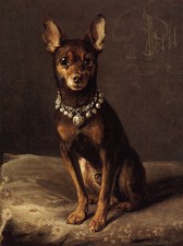 ENGLISH TOY TERRIER BLACK &