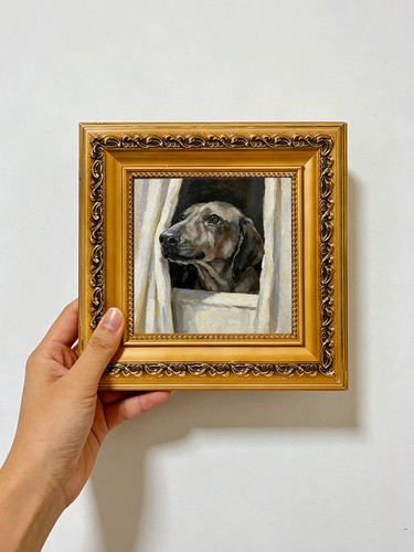Dog peeking through - dog,
