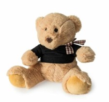 Blue Canyon Teddy Bear Door