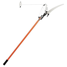 Telescopic tree pruner - tree,