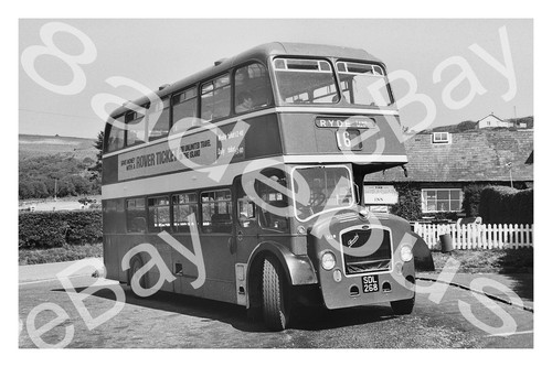 Bus photograph southern vectis - photograph,