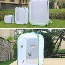 Butterfly Habitat Terrarium |