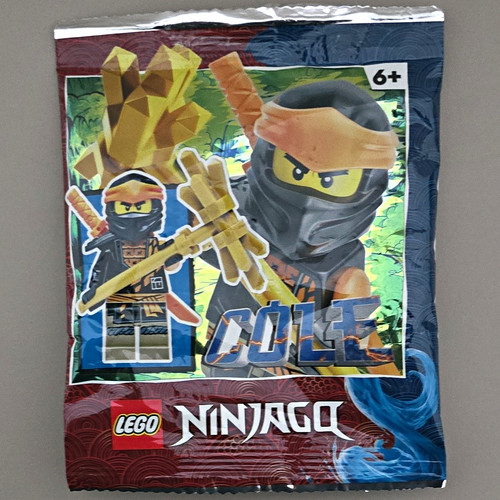 Lego ninjago cole - ninjago, minifigure