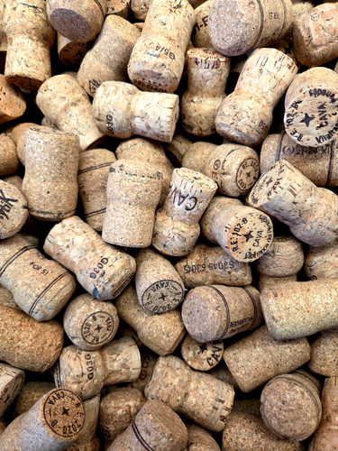 Used prosecco cava - x,