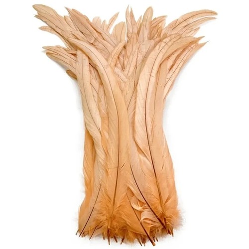 Long rooster tail feathers - rooster,