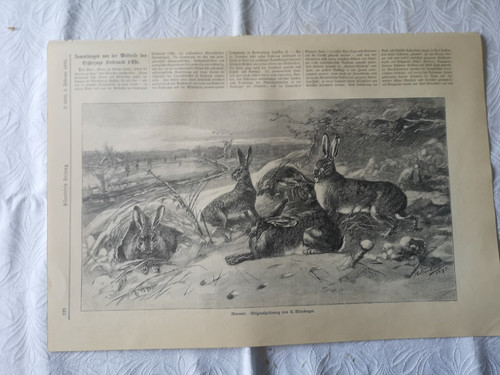 1895 newspaper print 128 - 1895,