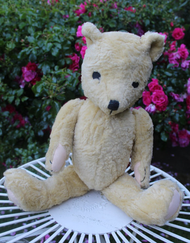 Jane hissey old bear - old,