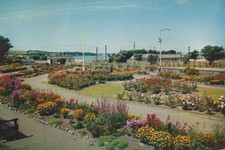 Vintage Colour Postcard Of The