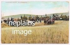 Washington - Harvest Field