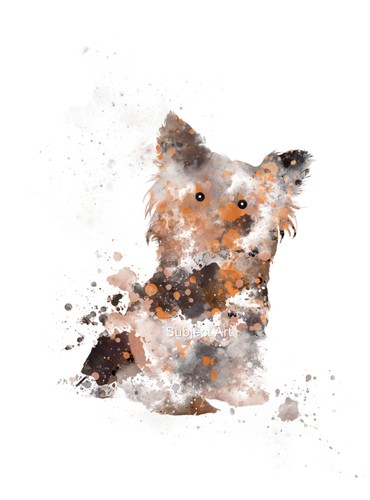 Yorkshire terrier art print - yorkshire,