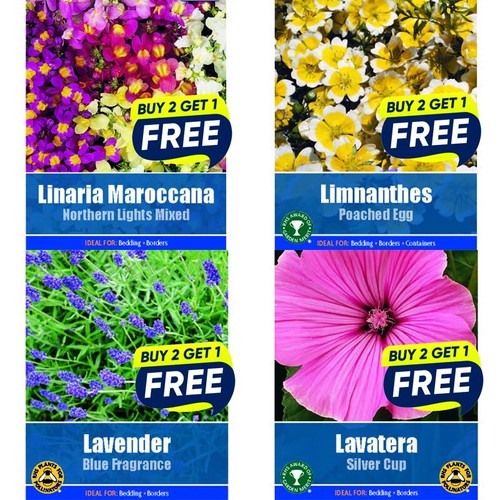 Flower seeds plants - plants, borders