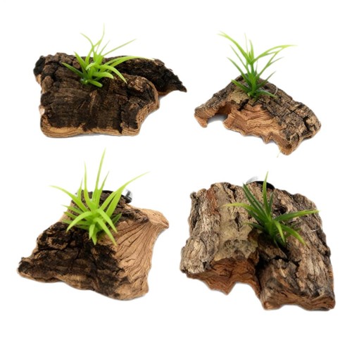 Jumping spider habitat - jumping,