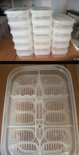 Reptile incubation boxes - reptile,