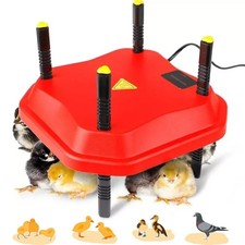 Chick Brooder Poultry Breeding