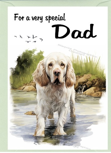 Clumber spaniel dog - spaniel, blank