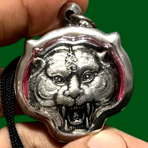 Tiger face silver micron - face,