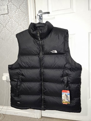 The north face - face, down