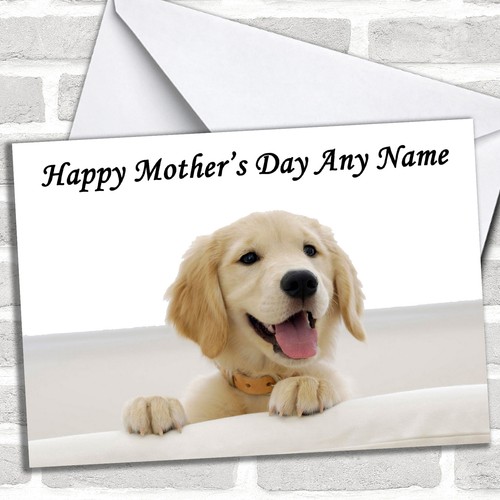 Beautiful labrador puppy - beautiful,