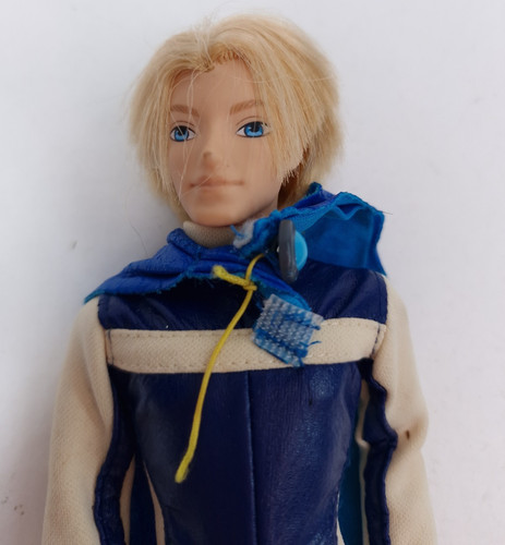 Winx club brandon prince sky - winx,