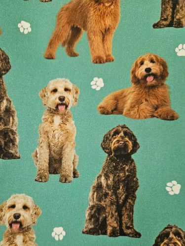 Dog fabric labradoodle - fabric/,