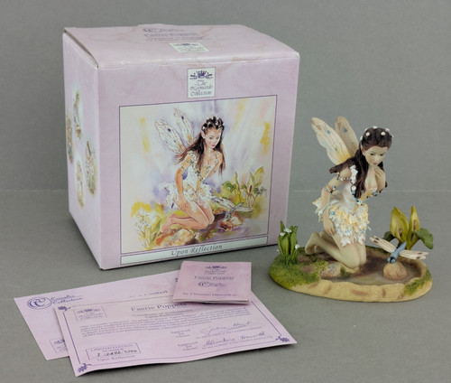 Leonardo collection - collection,