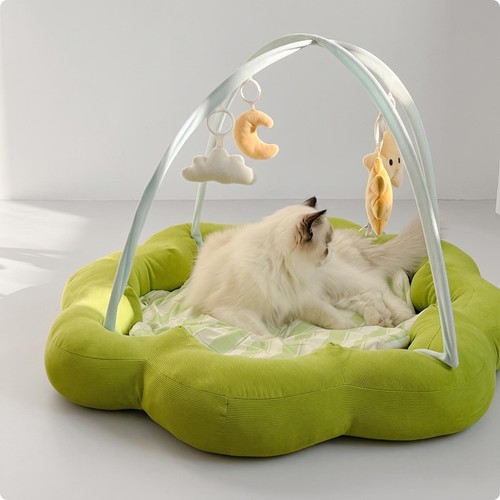 Cat bed with hanging toys - cat,