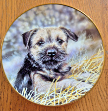 Border Terrier plate, 'LIttle