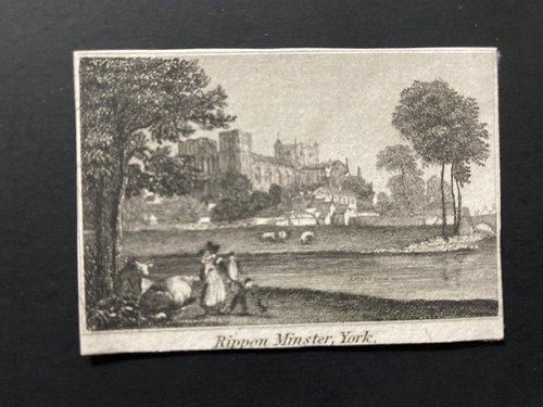 Rippon minster york - rippon,