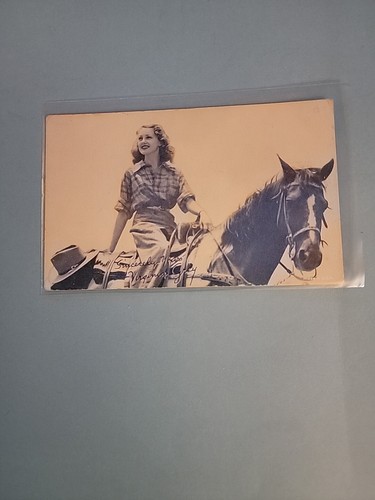 Virginia grey western - tv, movie