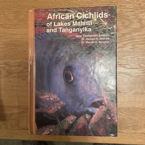 African cichlids - african,